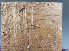 Load image into Gallery viewer, Forest Cremation Urn