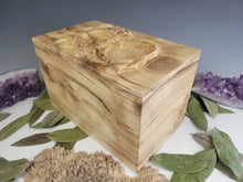 Load image into Gallery viewer, Dragon Cremation Urn