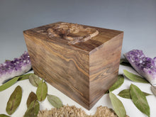 Load image into Gallery viewer, Dragon Cremation Urn