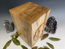 Load image into Gallery viewer, Lion Cremation Urn