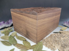 Load image into Gallery viewer, Sweeping Companion Cremation Urn